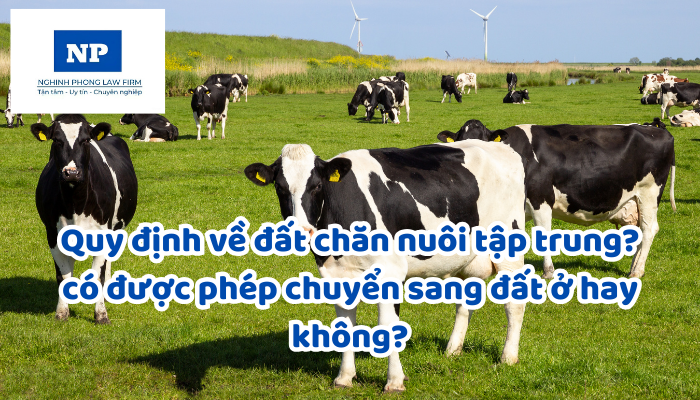 Quy định về đất chăn nuôi tập trung? có được phép chuyển sang đất ở hay không?