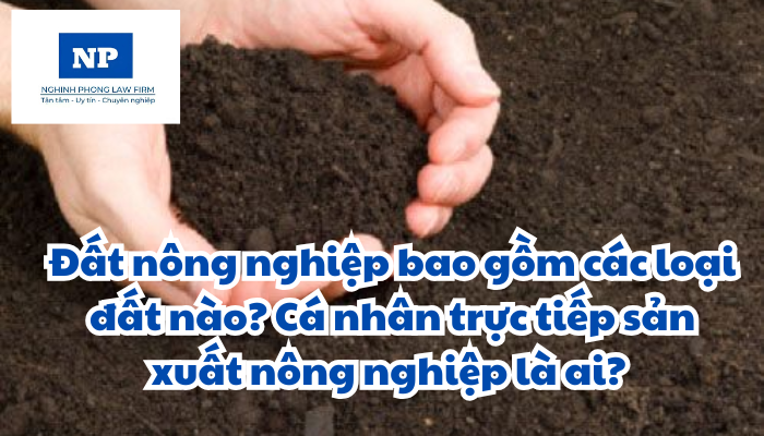 Đất nông nghiệp bao gồm các loại đất nào? Cá nhân trực tiếp sản xuất nông nghiệp là ai? Điều kiện chuyển đổi quyền sử dụng đất nông nghiệp được quy định như thế nào?