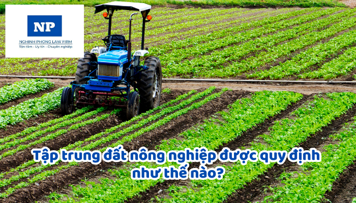 Tập trung đất nông nghiệp được quy định như thế nào?