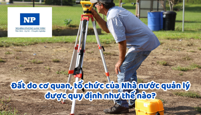 Đất do cơ quan, tổ chức của Nhà nước quản lý được quy định như thế nào?